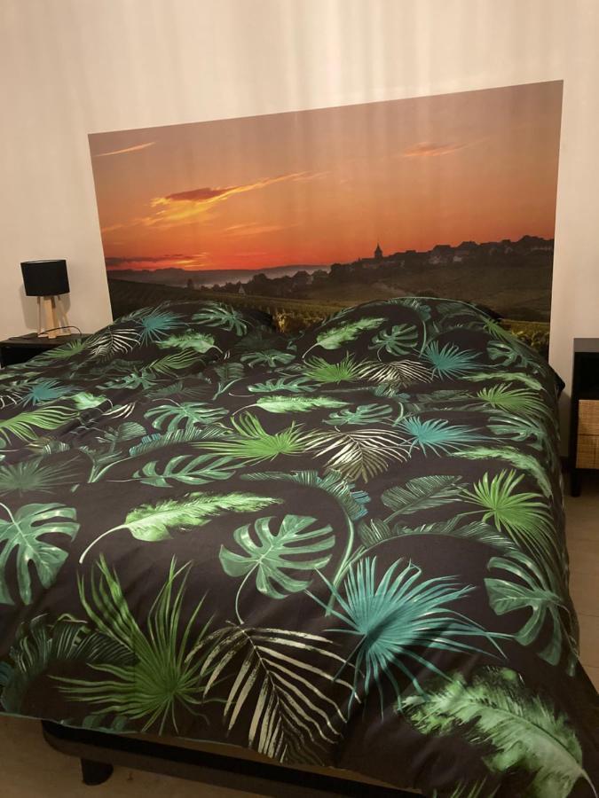 Appartement L'Alsacienne à Rouffach Extérieur photo